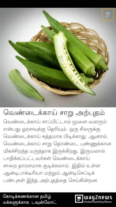 Indian food habits in tamil proverbs. Pin by Thangarasu VS on Vegetable News | Fruit health ...