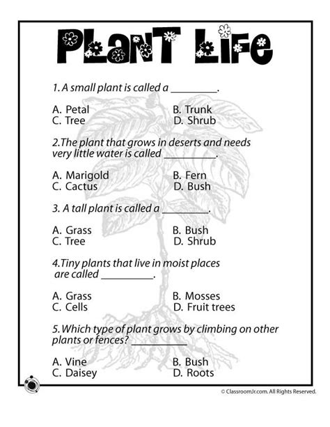 Plant Life Quiz | Woo! Jr. Kids Activities | Plant life cycle worksheet