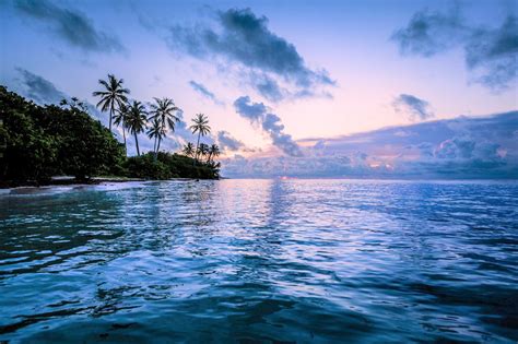 Tropical Paradise Wallpaper and Background Image | 1900x1266 | ID ...