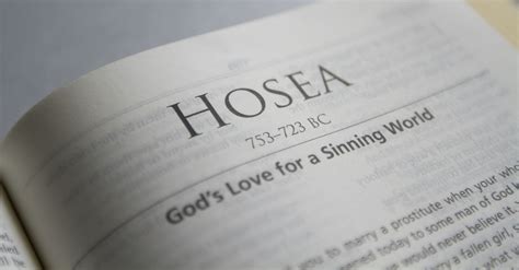 Hosea Bible Book Chapters And Summary New International Version