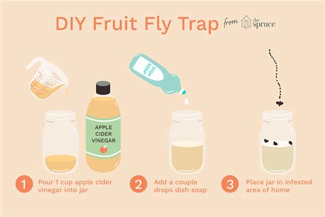 Get Rid Of Fruit Flies With A Homemade Fruit Fly Trap