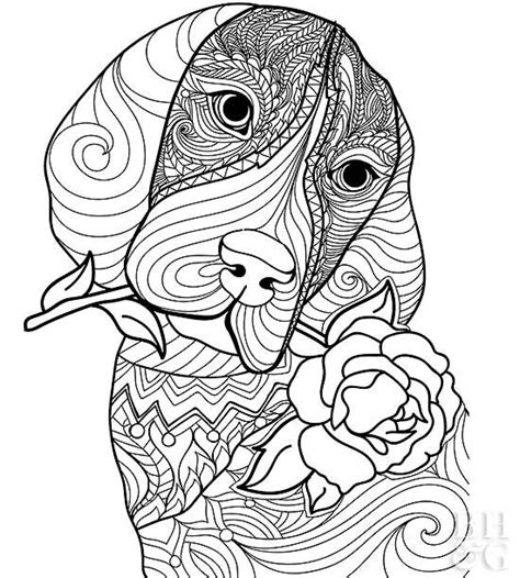 Free Pet Coloring Page Better Homes And Gardens Coloring Home