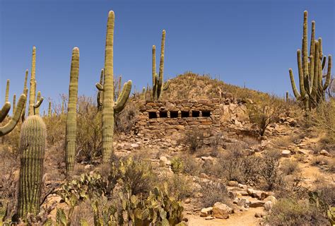 The Sonoran Desert And Saguaro National Park Kctrvlr