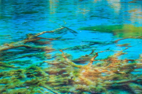 Crystal Clear Lake In Jiuzhaigou Stock Image Image Of Forest China
