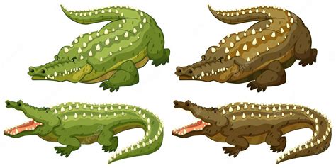 Green Alligators Clip Art Library