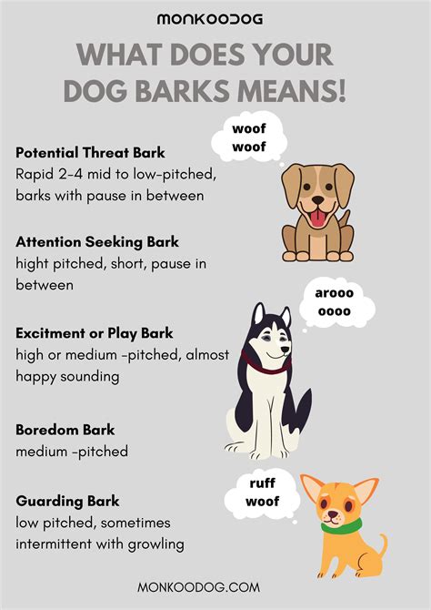 What Does Your Dog Bark Mean Dog Facts Dog Barking Dog Training