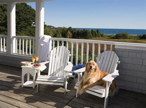 The Best Dog Friendly Luxury Hotels And Resorts