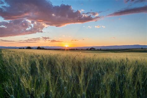 Medicare Broker Resilience Shines In 2023 And Paves A Path For Success