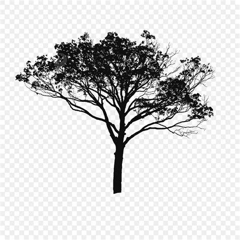 Tree Silhouette Clip Art Black And White