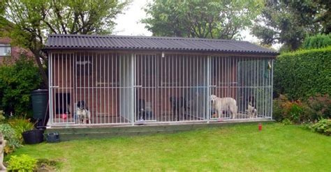 • free delivery and professional fitting. Local Dog Kennels Near Me - PetCloud | PetCloud | Dog ...