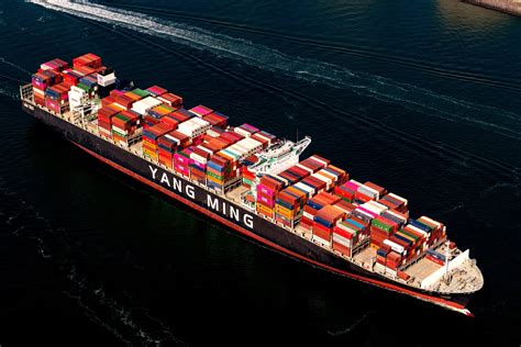 Yang Ming Adds New 11000 Teu Container Vessel Mac Nels Vietnam