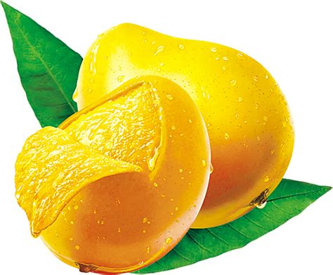 Mango Fruit Png Mango Png Transparent Png Transparent Png Image Sexiz Pix