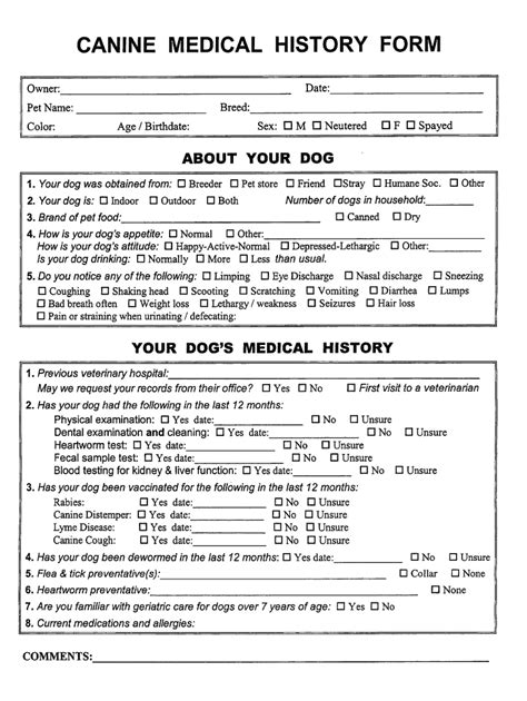 Veterinary Patient History Form Template Fill Online Printable 456