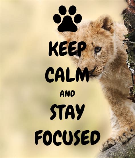 Keep Calm And Stay Focused Poster Ally Keep Calm O Matic