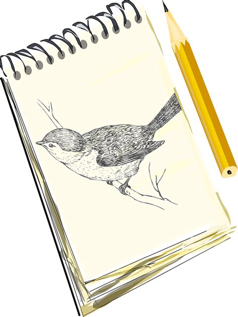 Download Pencil Sketch Bird Royalty Free Vector Graphic Pixabay