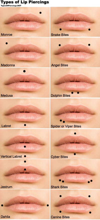 Lip Piercing Types Fotolip