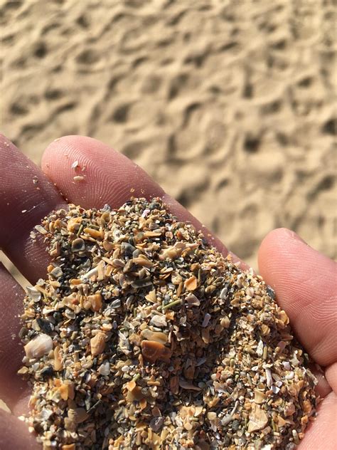 The sand at Sand Beach in Acadia National Park is actually 100% crushed ...
