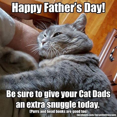 15 Funny Animals That Wanted To Wish Dads Everywhere A Happy Fathers