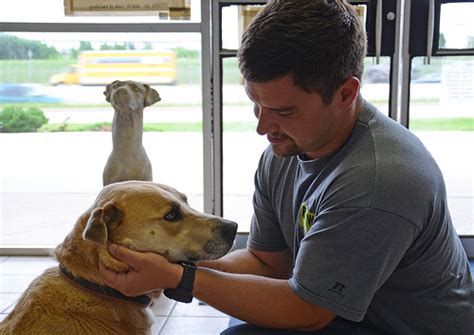 After Oklahoma Tornado Usda Assists In Pet Rescues Usda