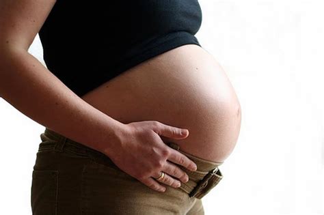 Feto De 26 Semanas Peso Y Talla - 26 Semanas de Embarazo. Peso Bebé y Síntomas. Ser Mamá
