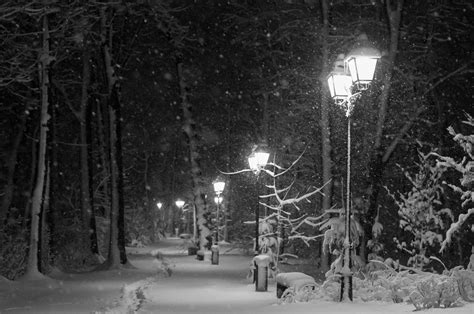 Winter Evening Taken On A Beautiful Winter Evening In Mogo Flickr