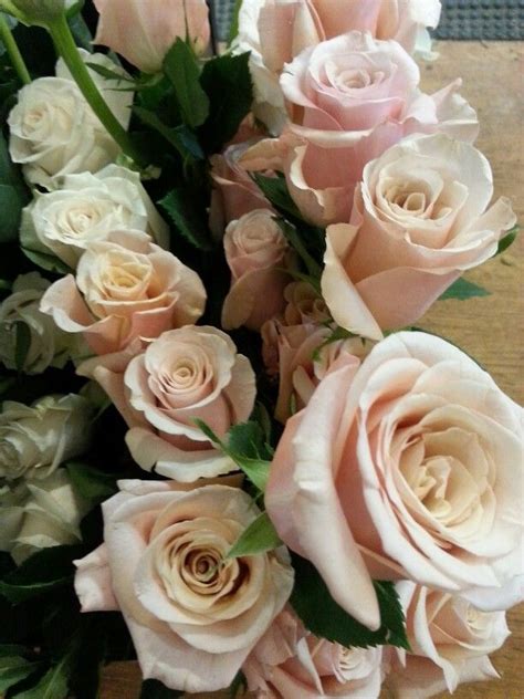 Mother Of Pearl Rose Rose Varieties Real Wedding Flowers