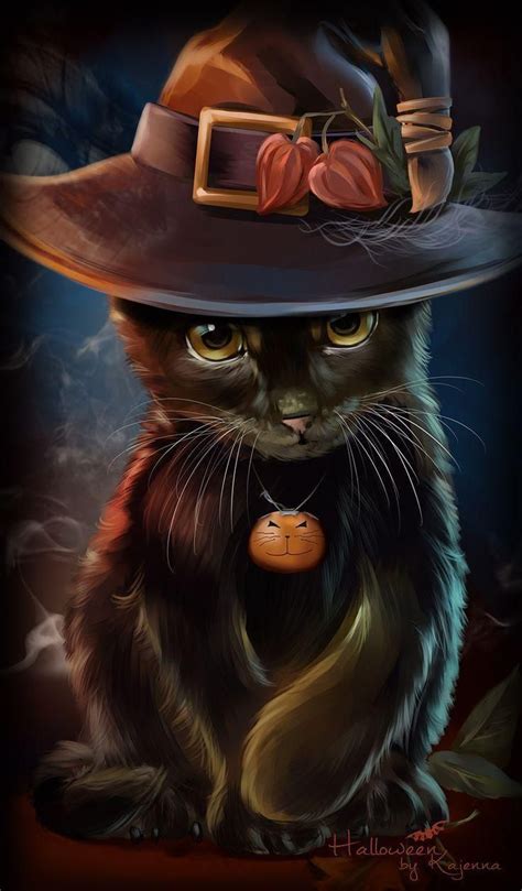Beautiful Witch Cat Wallpapers Top Free Beautiful Witch Cat