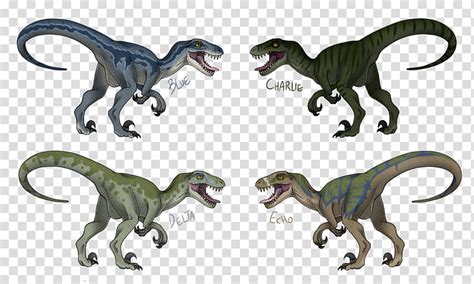 Jurassic Park Velociraptor Toronto Raptors Tyrannosaurus Drawing