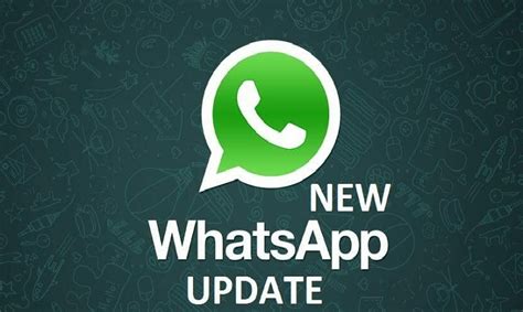 Why Users Need To Update Whatsapp New Version Things To Know