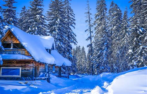 Wallpaper Winter Road Forest Snow Trees House Russia Khabarovsk