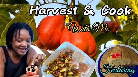 Harvest And Cook Ackee And Saltfish Wokra Featuring Banana Bread