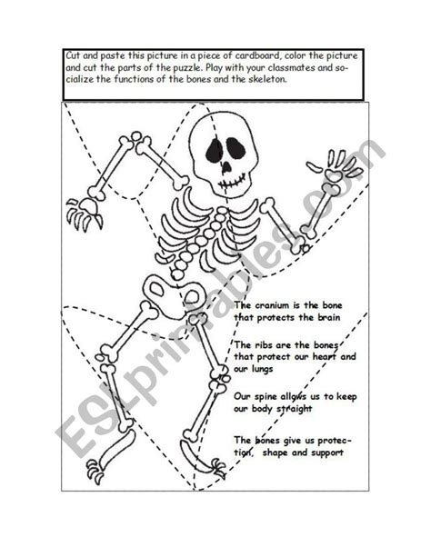 The Skeleton Puzzle Esl Worksheet By Karenlore29