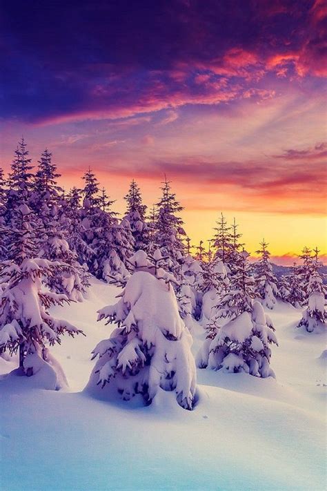 Winter Wonderland With All The Colors Of The Rainbow Winter Scenery