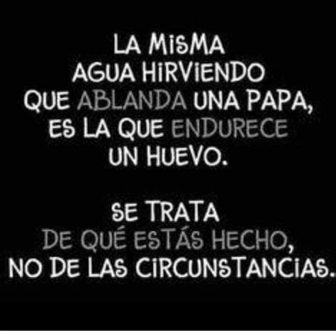 Pin de Vania Moreno en frases | Frases sabias, Frases bonitas, Frases