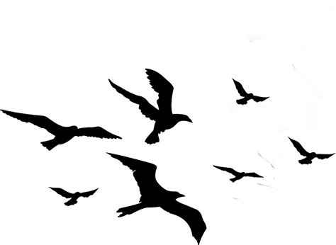 35 Ideas For Bird Png Silhouette Alison Illustration