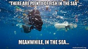 Plenty Of Fish In The Sea Meme