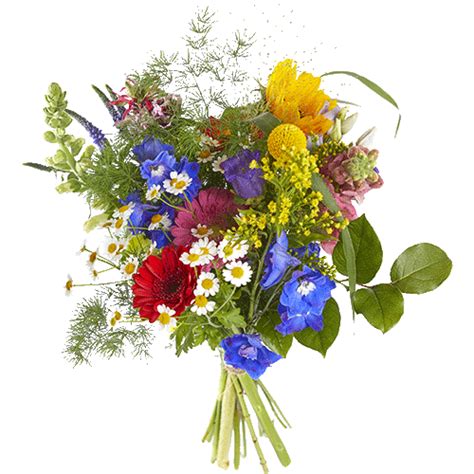Congratulation Flower Png Hd Quality Png Play
