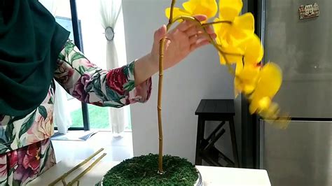 2 stalks orchid arrangement / gubahan mudah 2 tangkai orkid. Gubahan orkid 3 tangkai keliling - YouTube