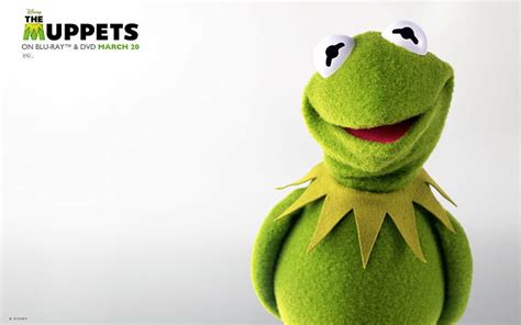 1920x1080px Free Download Hd Wallpaper Movie The Muppets Kermit