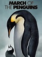 March of the Penguins Pictures - Rotten Tomatoes