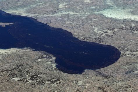 Thousands Of Volunteers Help To Clean Mysterious Oil Spill In Brazil