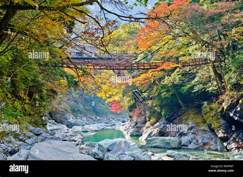 Kazurabashi Vine Bridge In Tokushima Shikoku Stock Photo Alamy