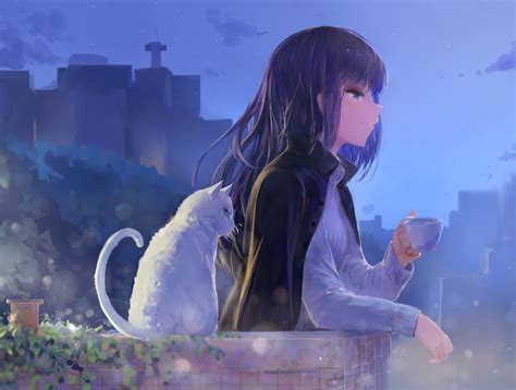 Masaüstü Anime Girls Uzun Saç Kedi Gece Mor Gözler 1500x1136