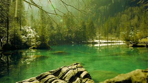 Free Download Turquoise Lake Water Green Nature Background Resort Park