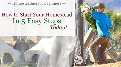 Homesteading For Beginners Start Your Homestead In 5 Steps Today