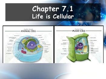 It is the key component for almost all known naturally occurring life on earth. Biology - Chapter 7 (7.1 Life is Cellular Powerpoint and ...