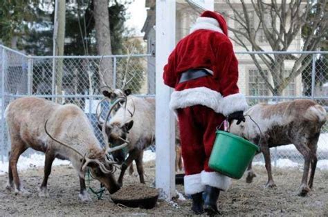 Santa Feeding His Reindeer Christmas Fun Christmas Past Christmas Towns