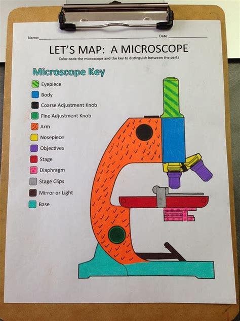 Science Activity A Printable For Learning Parts Of The Microscope