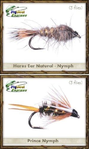 Fly Fishing Flies Guide S TOP Assortment NYMPHS Flies Fishing Outings