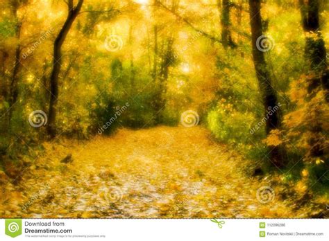 Blurred Autumn Landscape Backlit With Trees Fallen Yellow Leaves And